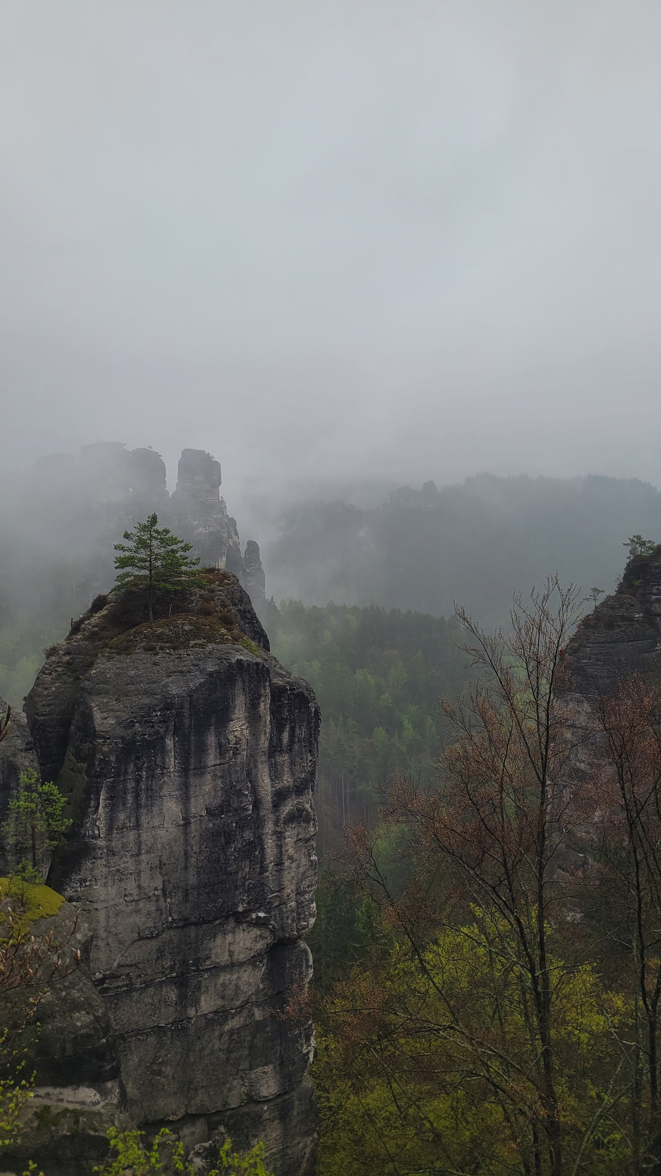 Sächsische Schweiz mit markanten Felsen